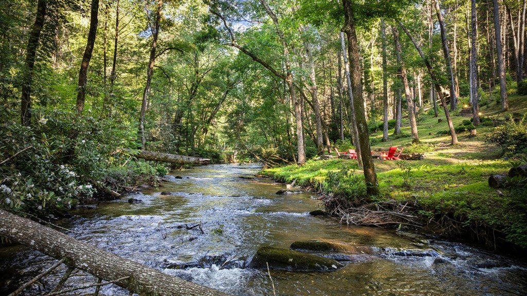 Blue Ridge, Georgia, 30513, United States, 3 Bedrooms Bedrooms, ,5 BathroomsBathrooms,Residential,Active,1973531