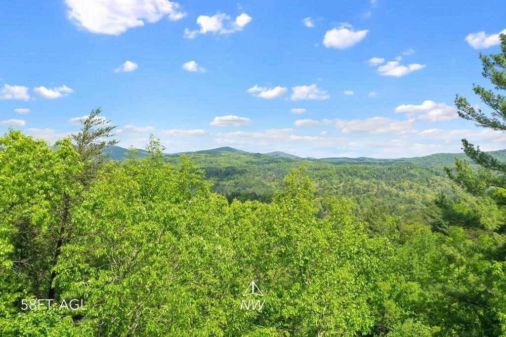 LOT 32 CROCKETT MOUNTAIN, CHERRY LOG, GA 30522, photo 1 of 15