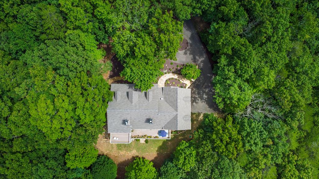 Ellijay, Georgia, 30536, United States, 6 Bedrooms Bedrooms, ,7 BathroomsBathrooms,Residential,Active,1790226