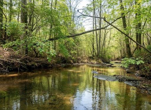 Talking Rock, Georgia, 30175, United States, 4 Bedrooms Bedrooms, ,3 BathroomsBathrooms,Residential,Active,2000224