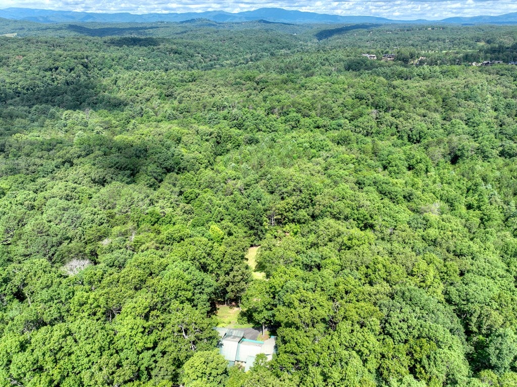 Mineral Bluff, Georgia, 30559, United States, 4 Bedrooms Bedrooms, ,3 BathroomsBathrooms,Residential,Active,1899865