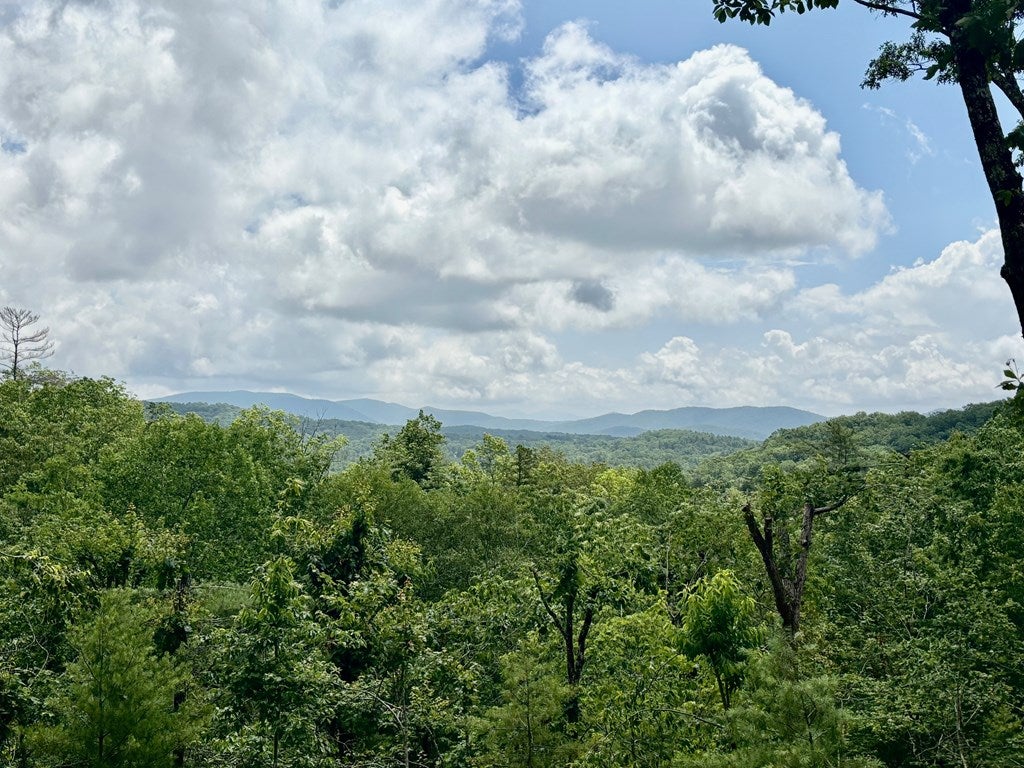 Blue Ridge, Georgia, 30513, United States, 4 Bedrooms Bedrooms, ,4 BathroomsBathrooms,Residential,Active,1941116