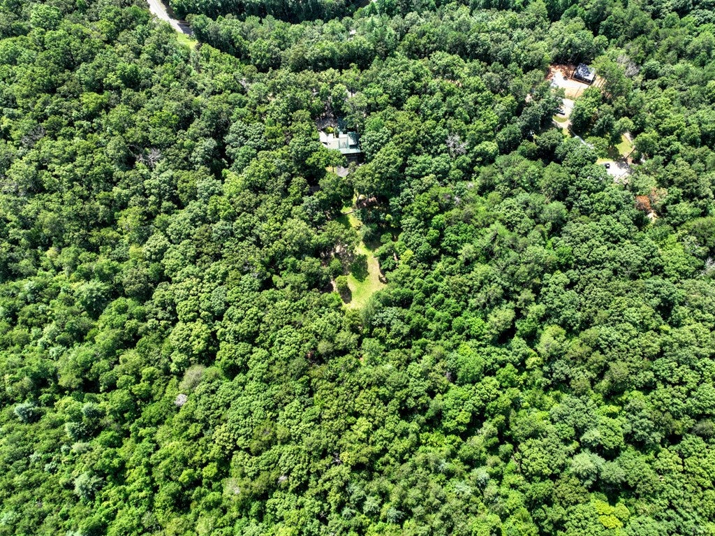 Mineral Bluff, Georgia, 30559, United States, 4 Bedrooms Bedrooms, ,3 BathroomsBathrooms,Residential,Active,1899865