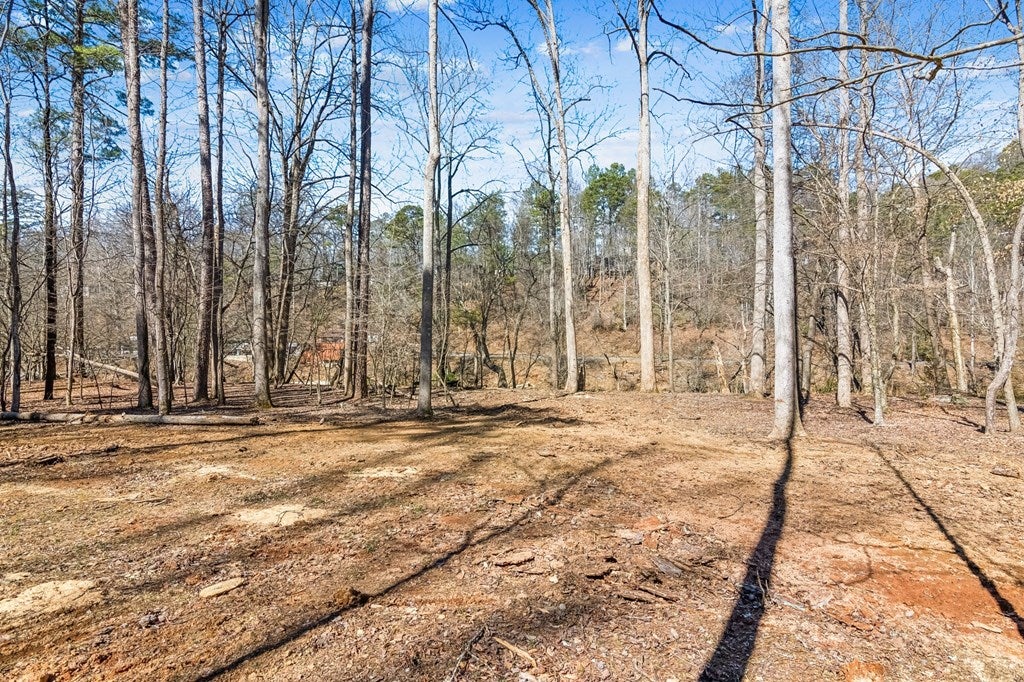 Ellijay, Georgia, 30540, United States, 4 Bedrooms Bedrooms, ,4 BathroomsBathrooms,Residential,Active,1711794