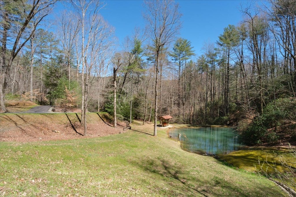 Ellijay, Georgia, 30540, United States, 5 Bedrooms Bedrooms, ,7 BathroomsBathrooms,Residential,Active,1951812