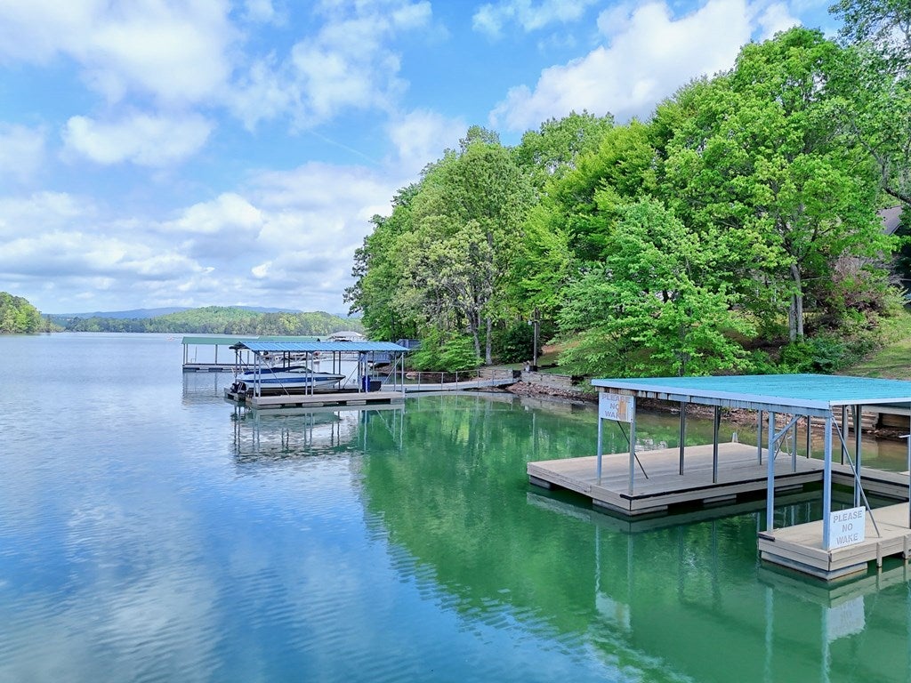 Hiawassee, Georgia, 30546, United States, 3 Bedrooms Bedrooms, ,3 BathroomsBathrooms,Residential,Active,1790158