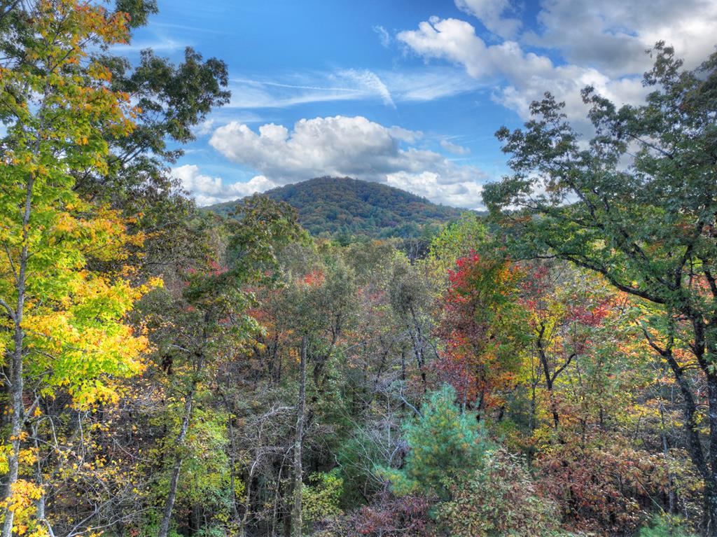 Ellijay, Georgia, 30540, United States, 5 Bedrooms Bedrooms, ,4 BathroomsBathrooms,Residential,Active,1745330