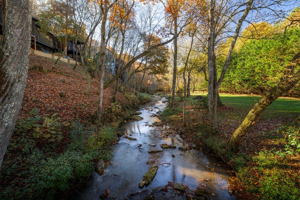 Blue Ridge, Georgia, 30513, United States, 4 Bedrooms Bedrooms, ,4 BathroomsBathrooms,Residential,Active,1990018