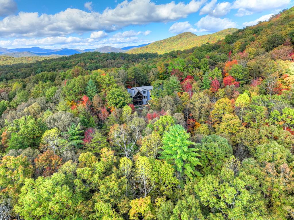 Ellijay, Georgia, 30540, United States, 5 Bedrooms Bedrooms, ,4 BathroomsBathrooms,Residential,Active,1745330