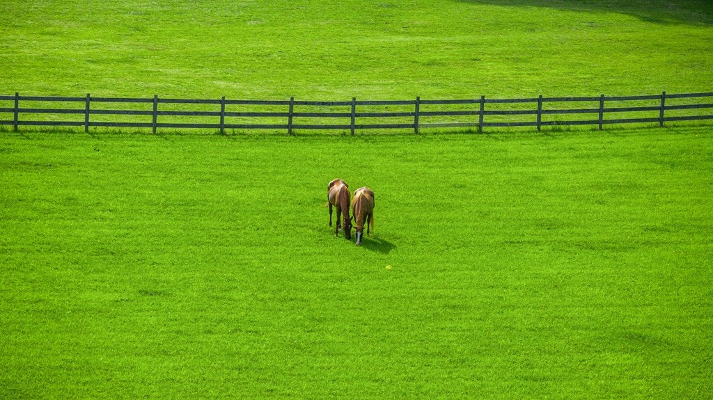 Blue Ridge, Georgia, 30513, United States, 3 Bedrooms Bedrooms, ,4 BathroomsBathrooms,Residential,Active,2008330