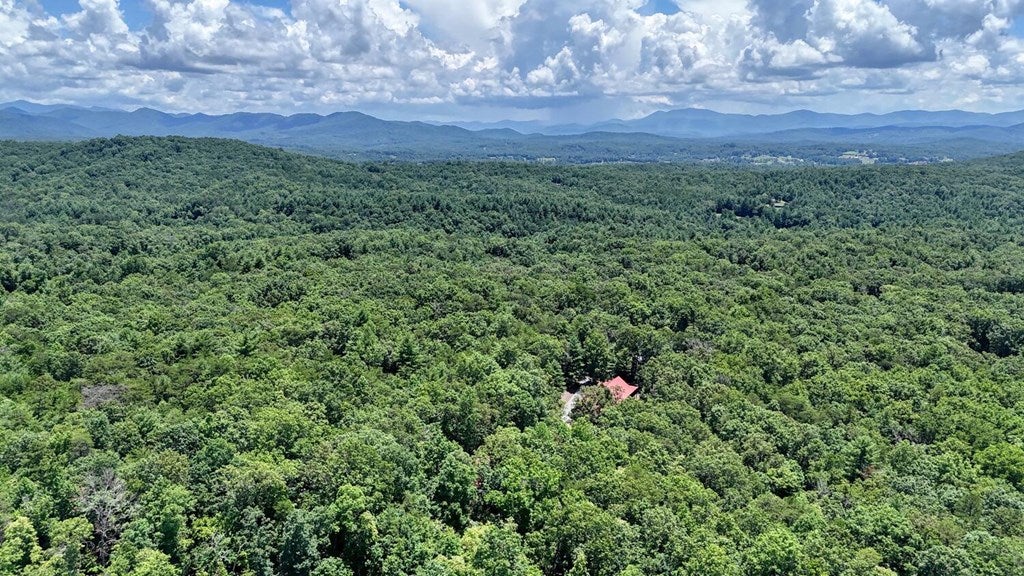 Blairsville, Georgia, 30512, United States, 3 Bedrooms Bedrooms, ,4 BathroomsBathrooms,Residential,Active,1877837