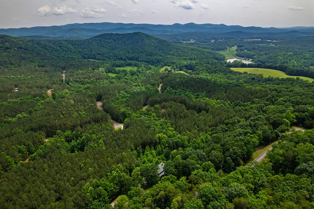 Ellijay, Georgia, 30536, United States, 6 Bedrooms Bedrooms, ,5 BathroomsBathrooms,Residential,Active,1929800