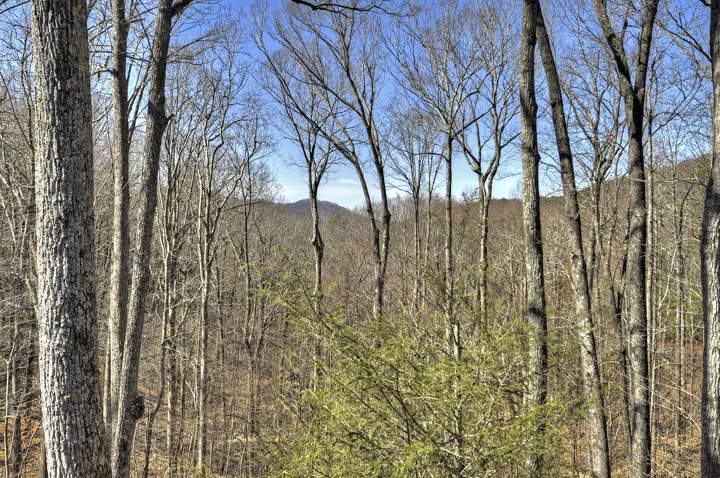 Ellijay, Georgia, 30536, United States, 5 Bedrooms Bedrooms, ,6 BathroomsBathrooms,Residential,Active,1953362