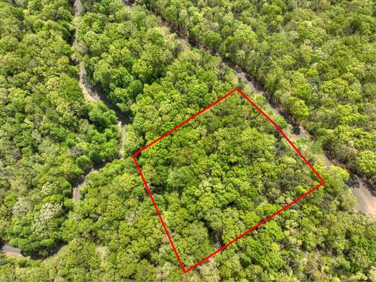 LOT 34 SAW BLADE LANE, ELLIJAY, GA 30540, photo 3 of 24