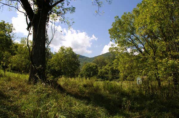 TRACT 1 FORTENBERRY ROAD, BLAIRSVILLE, GA 30512 - Image 1