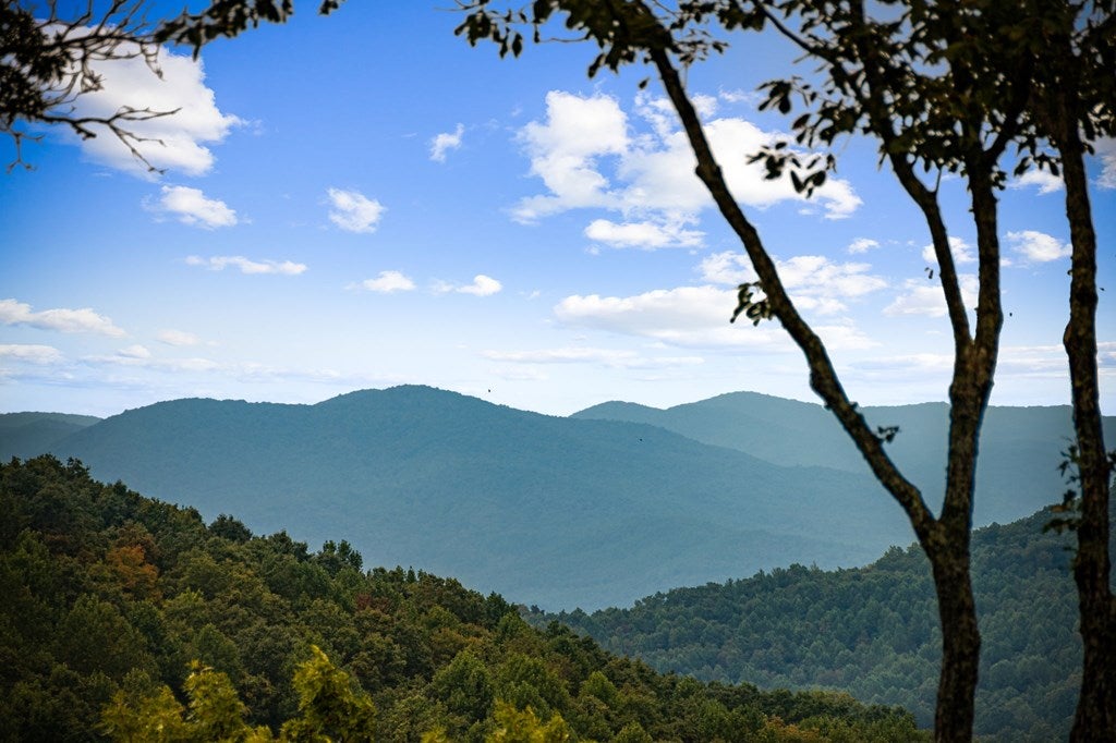 Morganton, Georgia, 30560, United States, 4 Bedrooms Bedrooms, ,5 BathroomsBathrooms,Residential,Active,1952626