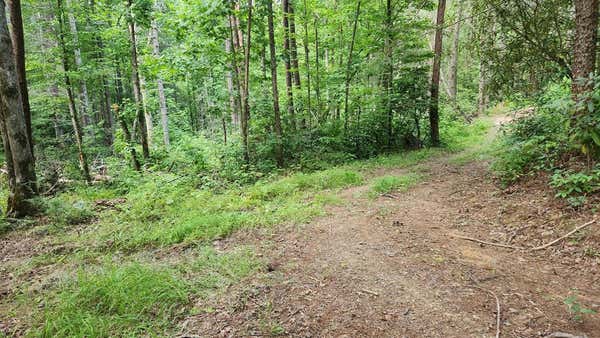 000 TUMBLING CREEK ROAD, COPPERHILL, TN 37317, photo 4 of 49