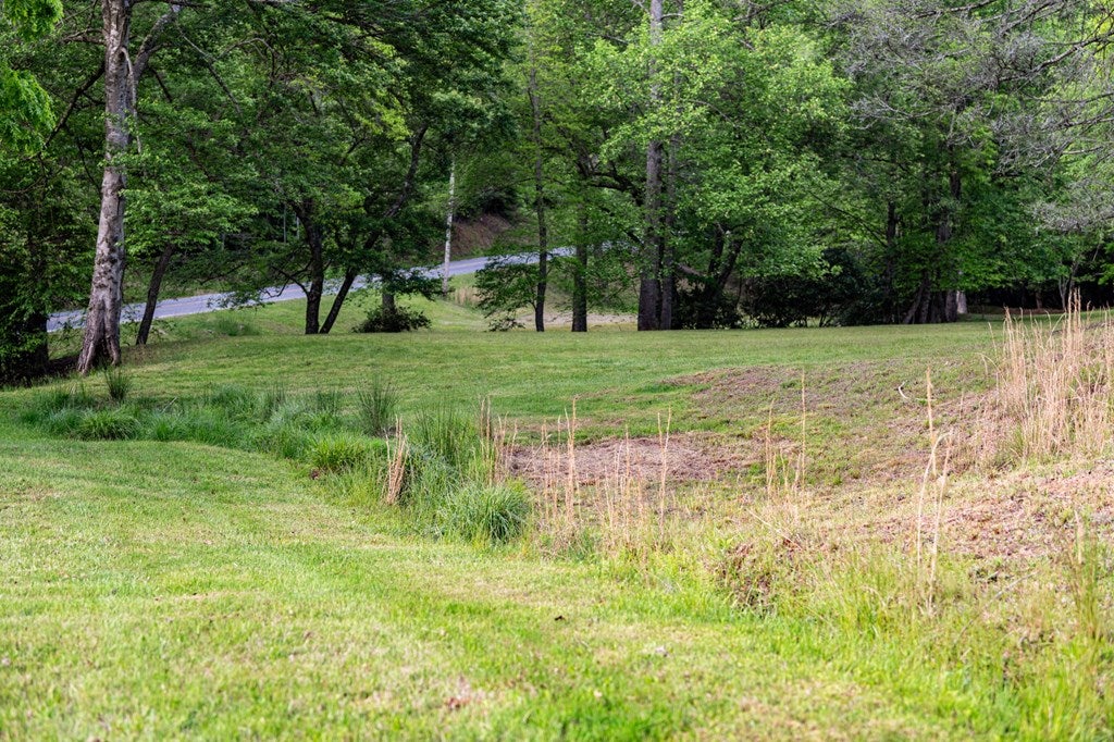 Brasstown, North Carolina, 28902, United States, 4 Bedrooms Bedrooms, ,5 BathroomsBathrooms,Residential,Active,1810516