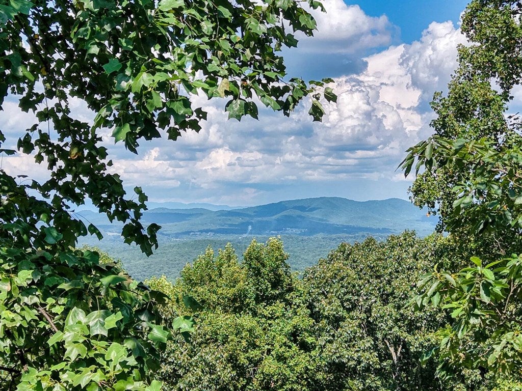 Blairsville, Georgia, 30512, United States, 4 Bedrooms Bedrooms, ,6 BathroomsBathrooms,Residential,Active,1934771