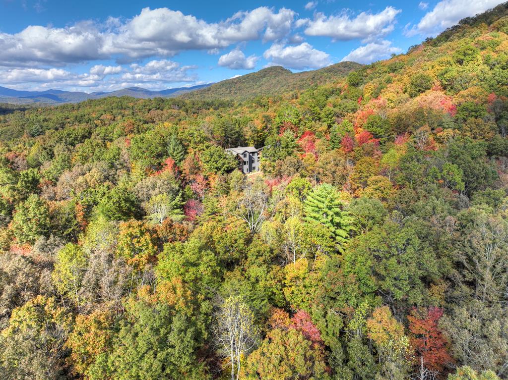 Ellijay, Georgia, 30540, United States, 5 Bedrooms Bedrooms, ,4 BathroomsBathrooms,Residential,Active,1745330
