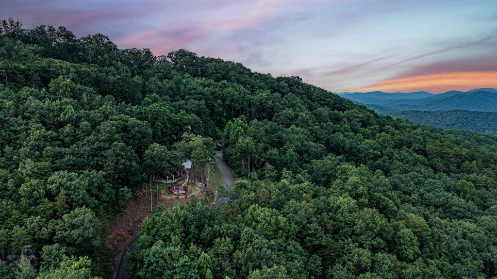 Blue Ridge, Georgia, 30513, United States, 4 Bedrooms Bedrooms, ,4 BathroomsBathrooms,Residential,Active,1998761