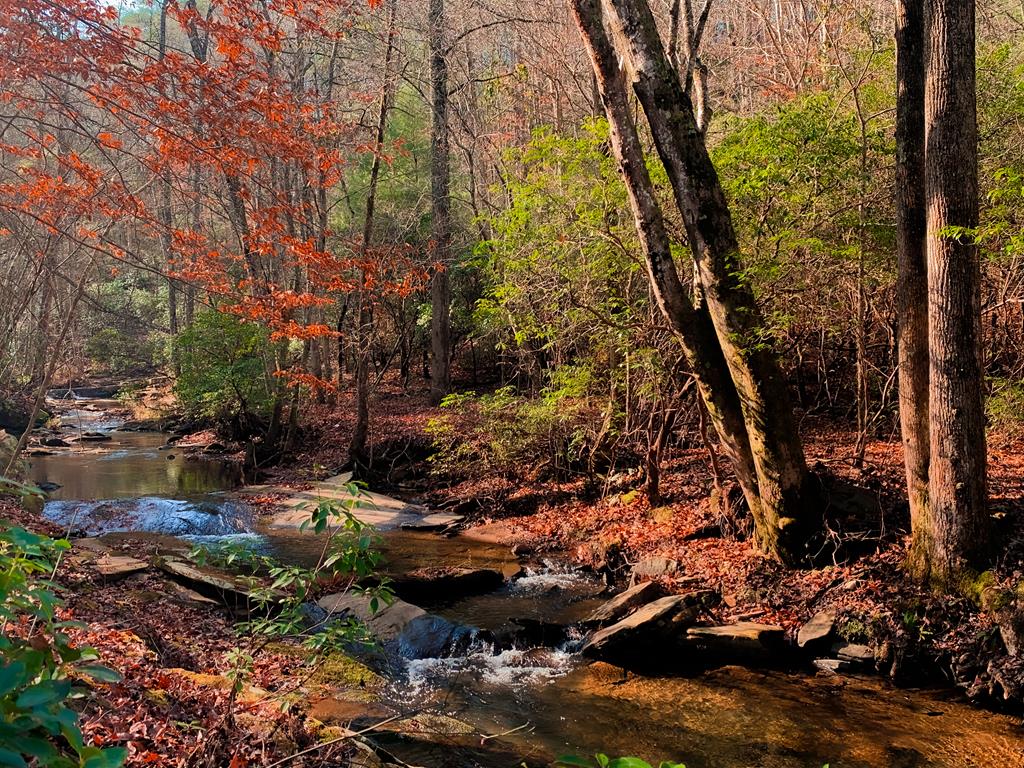 Talking Rock, Georgia, 30175, United States, 4 Bedrooms Bedrooms, ,3 BathroomsBathrooms,Residential,Active,2000224