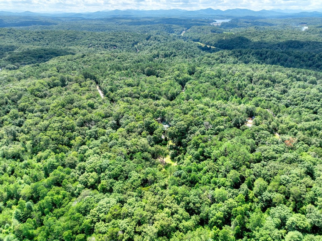 Mineral Bluff, Georgia, 30559, United States, 4 Bedrooms Bedrooms, ,3 BathroomsBathrooms,Residential,Active,1899865