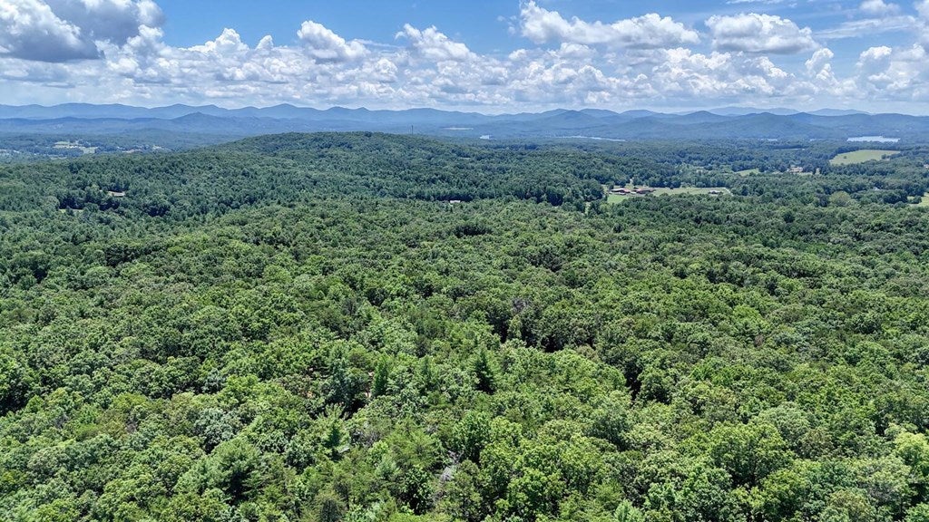 Blairsville, Georgia, 30512, United States, 3 Bedrooms Bedrooms, ,4 BathroomsBathrooms,Residential,Active,1877837