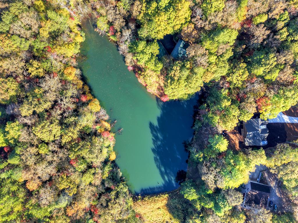 Ellijay, Georgia, 30540, United States, 4 Bedrooms Bedrooms, ,3 BathroomsBathrooms,Residential,Active,1971005