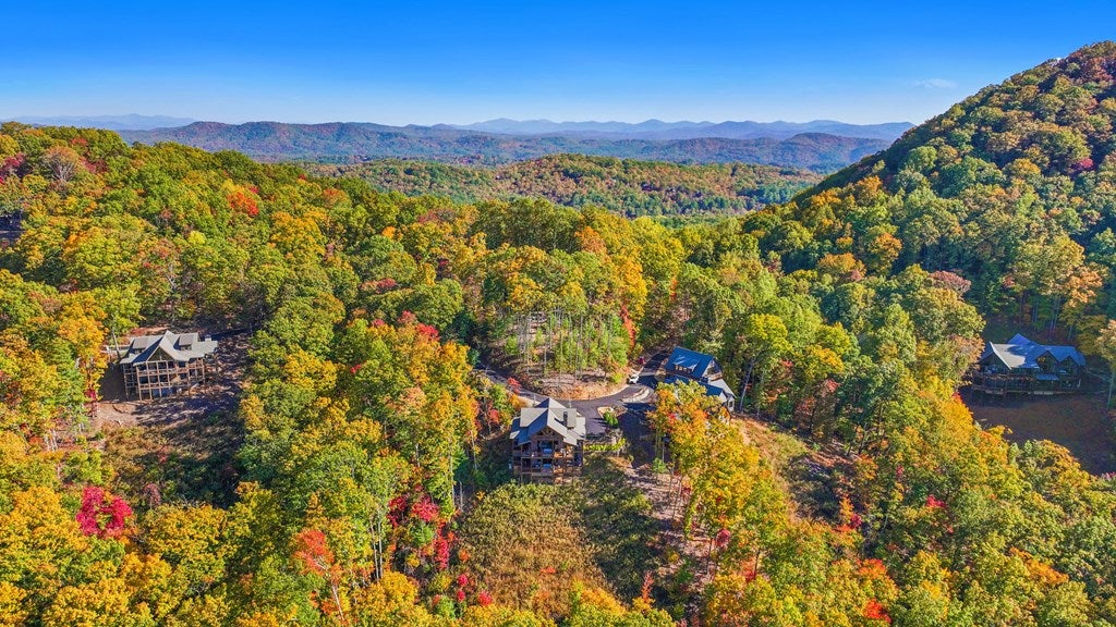 Mineral Bluff, Georgia, 30559, United States, 4 Bedrooms Bedrooms, ,6 BathroomsBathrooms,Residential,Active,1914767