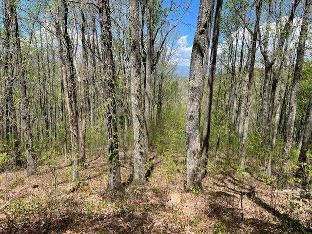 LOT 86 ROCKY KNOB ESTATE, YOUNG HARRIS, GA 30582, photo 1 of 12