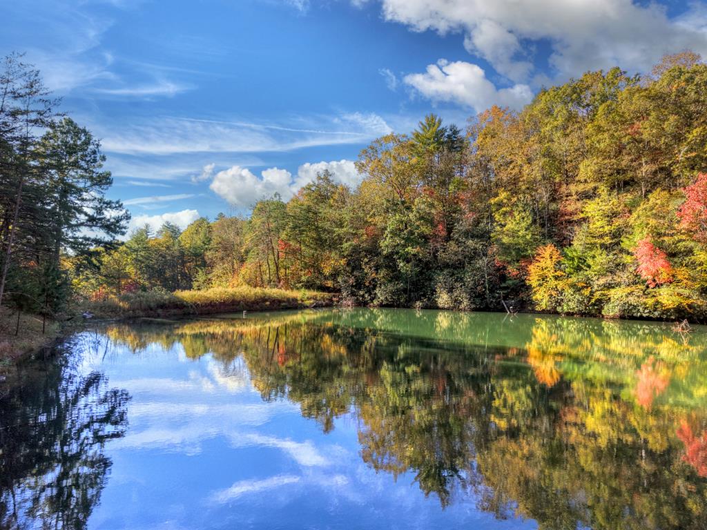 Ellijay, Georgia, 30540, United States, 4 Bedrooms Bedrooms, ,3 BathroomsBathrooms,Residential,Active,1971005