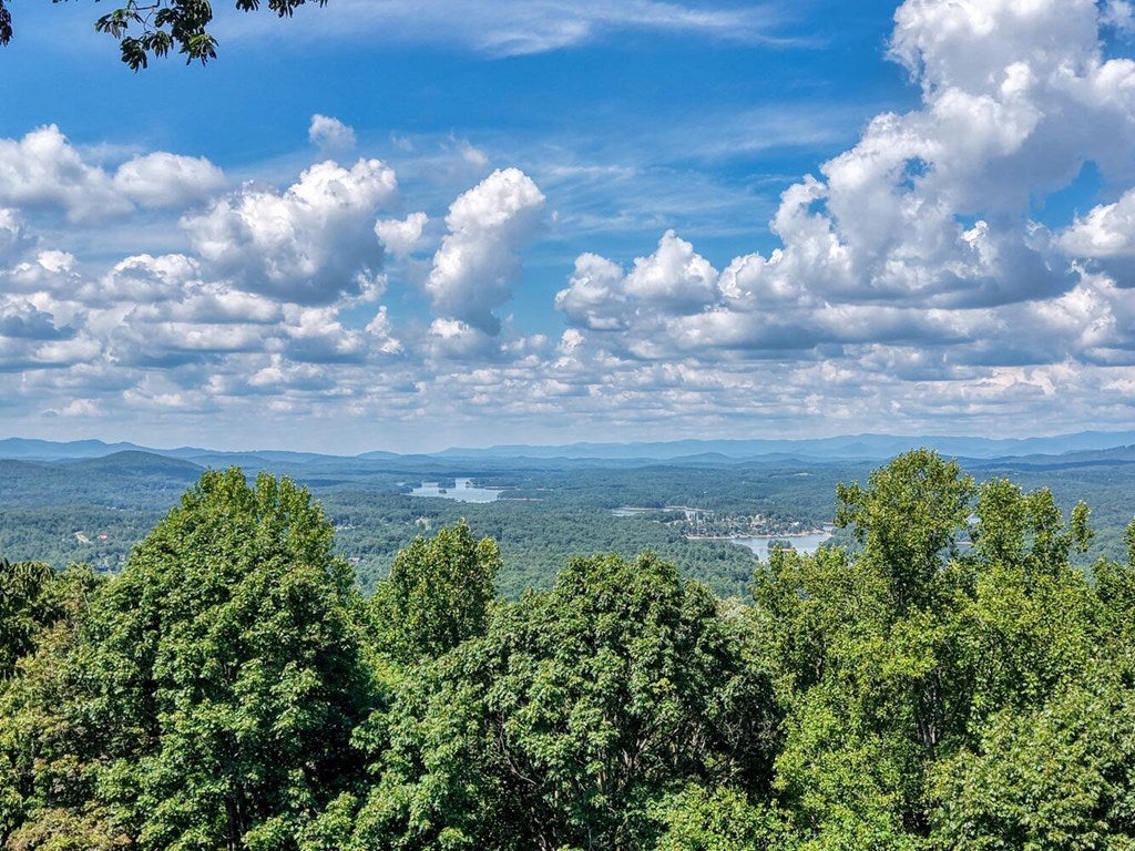 Blairsville, Georgia, 30512, United States, 4 Bedrooms Bedrooms, ,6 BathroomsBathrooms,Residential,Active,1934771