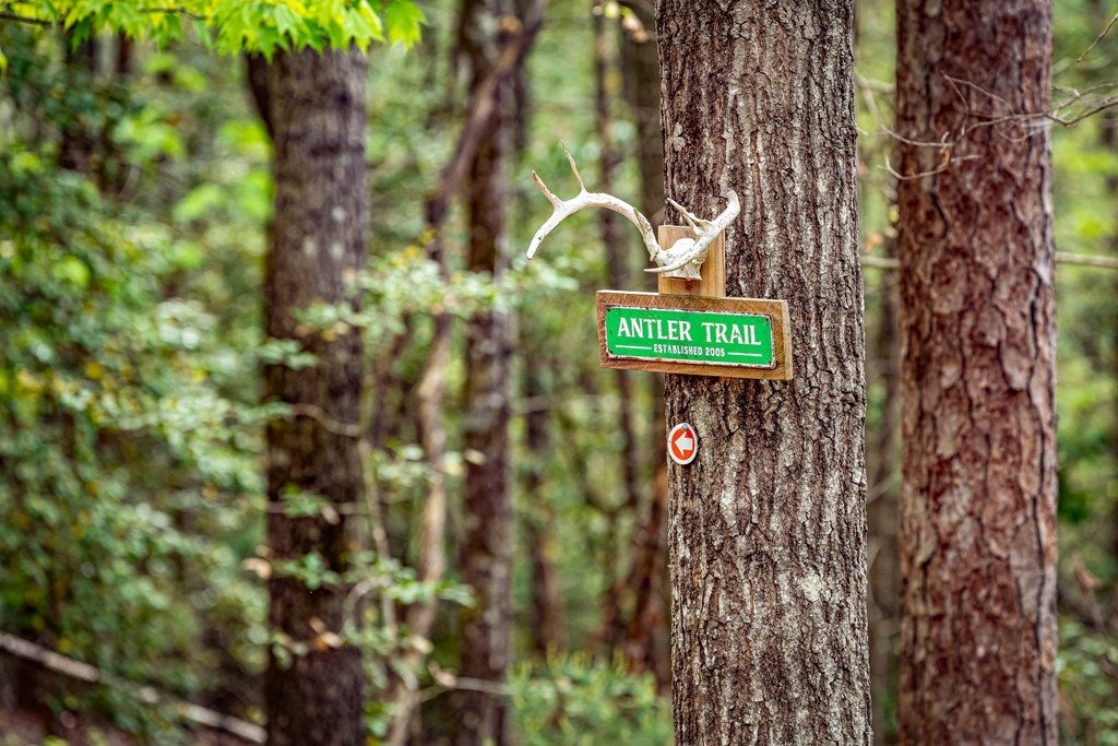 Ellijay, Georgia, 30536, United States, 4 Bedrooms Bedrooms, ,4 BathroomsBathrooms,Residential,Active,1800168