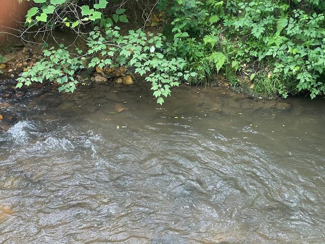 Blue Ridge, Georgia, 30513, United States, 3 Bedrooms Bedrooms, ,3 BathroomsBathrooms,Residential,Active,1926691