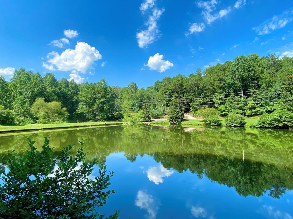 Ellijay, Georgia, 30540, United States, 4 Bedrooms Bedrooms, ,4 BathroomsBathrooms,Residential,Active,1711794