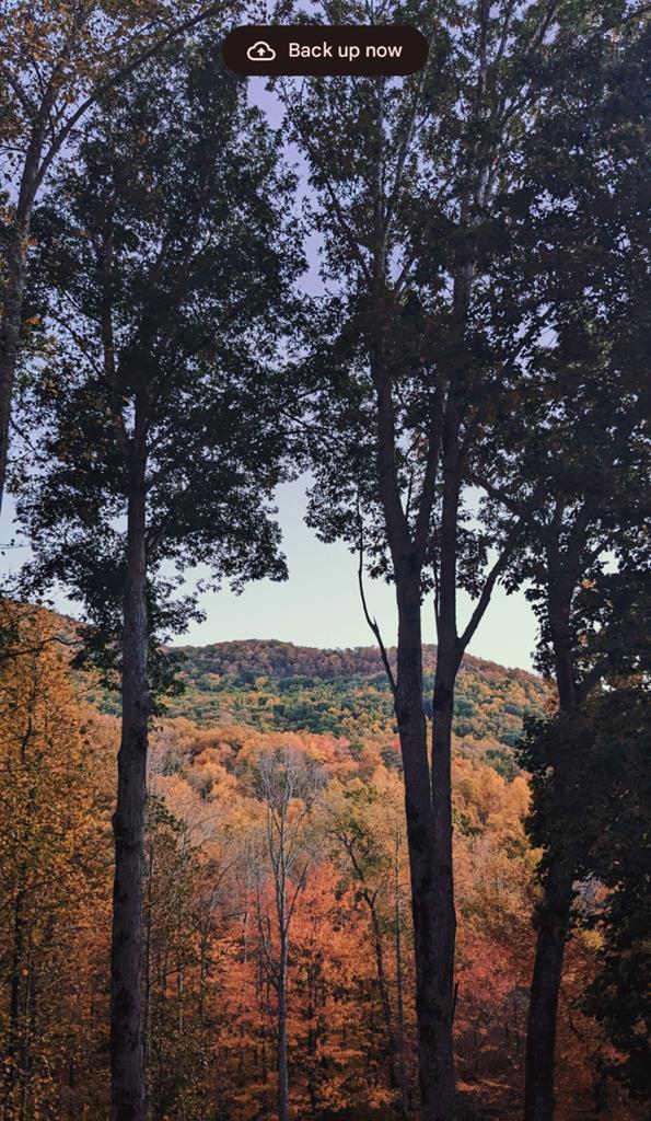 Hiawassee, Georgia, 30546, United States, 3 Bedrooms Bedrooms, ,2 BathroomsBathrooms,Residential,Active,2007353