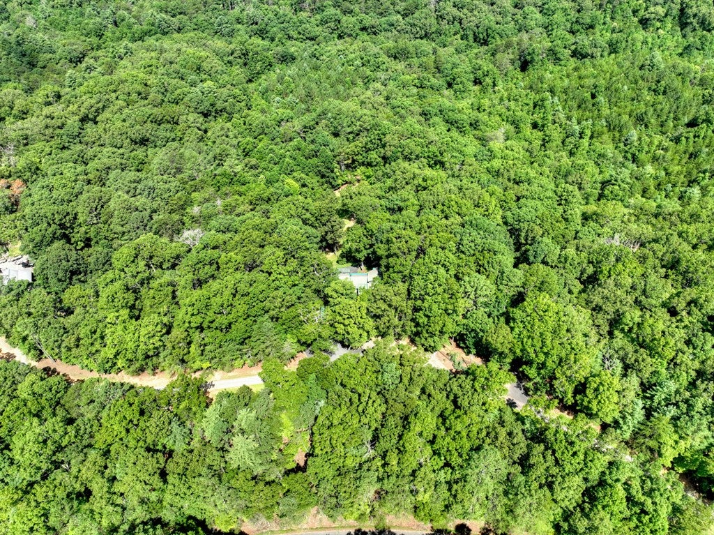 Mineral Bluff, Georgia, 30559, United States, 4 Bedrooms Bedrooms, ,3 BathroomsBathrooms,Residential,Active,1899865