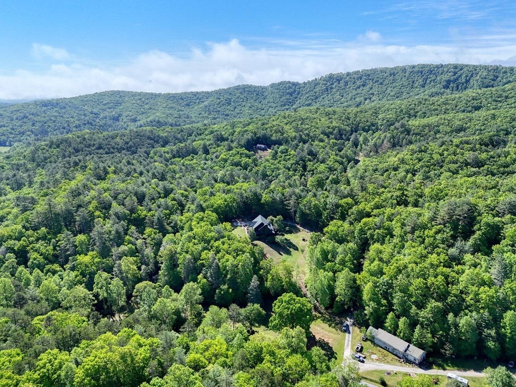 Brasstown, North Carolina, 28902, United States, 4 Bedrooms Bedrooms, ,5 BathroomsBathrooms,Residential,Active,1810516
