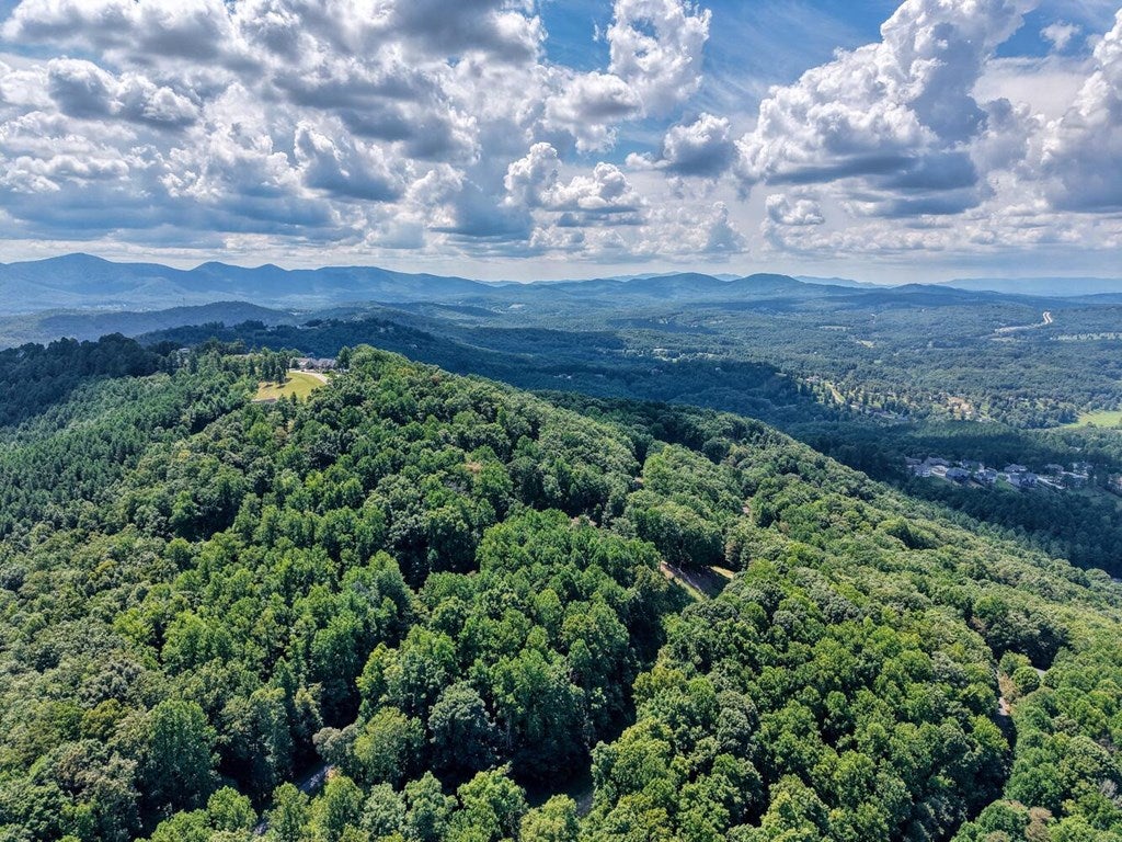 Blairsville, Georgia, 30512, United States, 4 Bedrooms Bedrooms, ,6 BathroomsBathrooms,Residential,Active,1934771