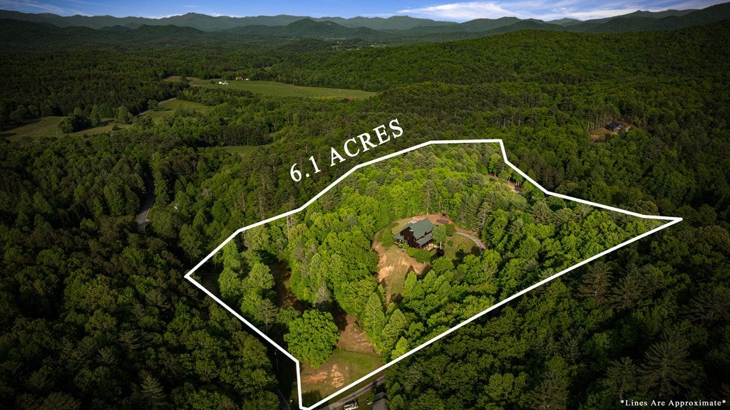 Brasstown, North Carolina, 28902, United States, 4 Bedrooms Bedrooms, ,5 BathroomsBathrooms,Residential,Active,1810516