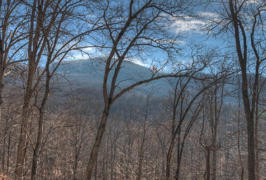 Hiawassee, Georgia, 30546, United States, 3 Bedrooms Bedrooms, ,2 BathroomsBathrooms,Residential,Active,2007353