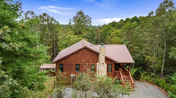 24 TWIGG LN, MINERAL BLUFF, GA 30559 - Image 1