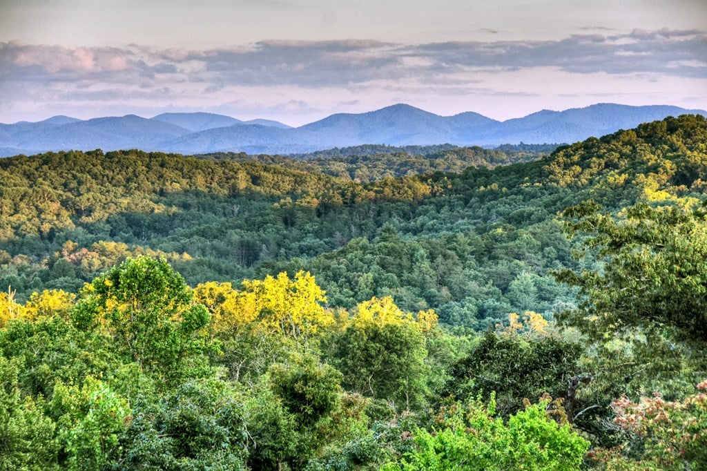 Blue Ridge, Georgia, 30513, United States, 5 Bedrooms Bedrooms, ,5 BathroomsBathrooms,Residential,Active,1945259