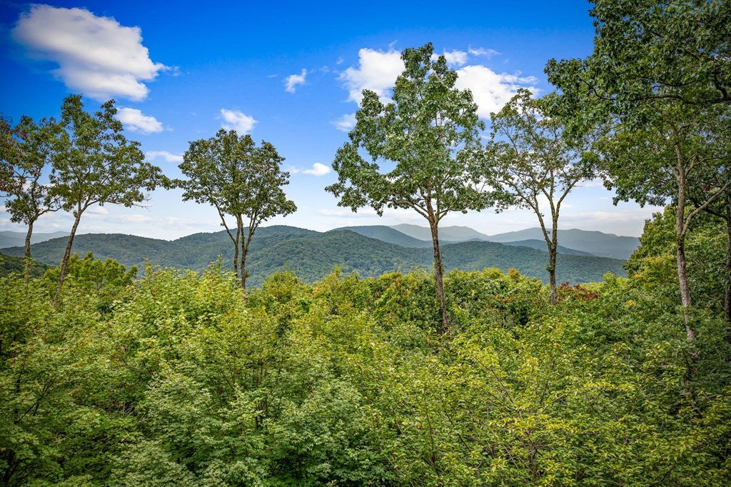 Morganton, Georgia, 30560, United States, 4 Bedrooms Bedrooms, ,5 BathroomsBathrooms,Residential,Active,1952626