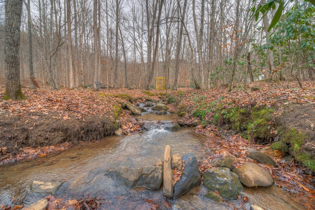 Hiawassee, Georgia, 30546, United States, 3 Bedrooms Bedrooms, ,2 BathroomsBathrooms,Residential,Active,2007353