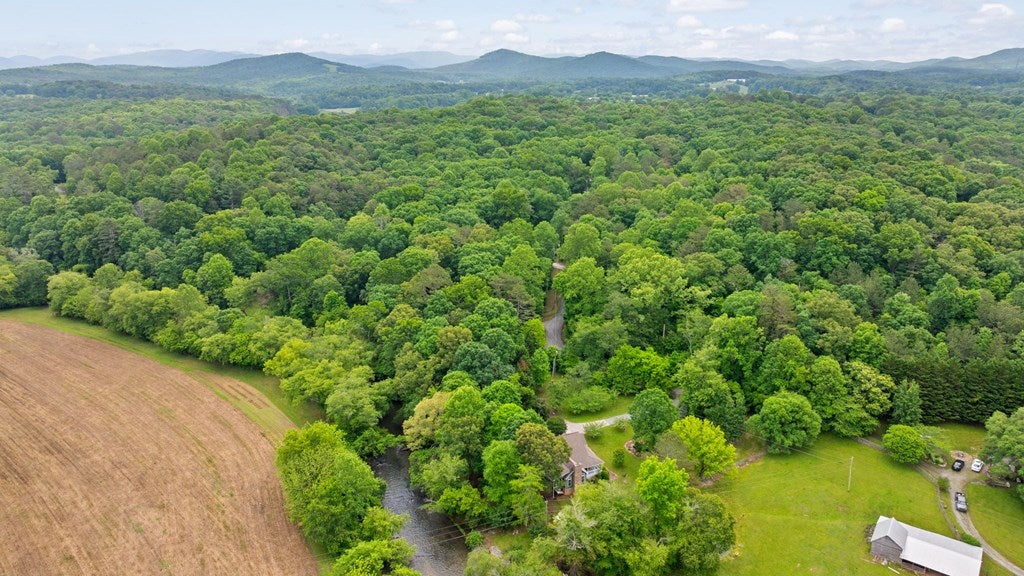 Ellijay, Georgia, 30536, United States, 3 Bedrooms Bedrooms, ,3 BathroomsBathrooms,Residential,Active,1953369