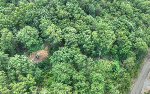 LOT 5 HEIGHTS OVERLOOK, CHERRY LOG, GA 30522, photo 3 of 13