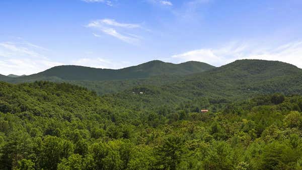 1AC GREEN COVE RD, BRASSTOWN, NC 28902 - Image 1