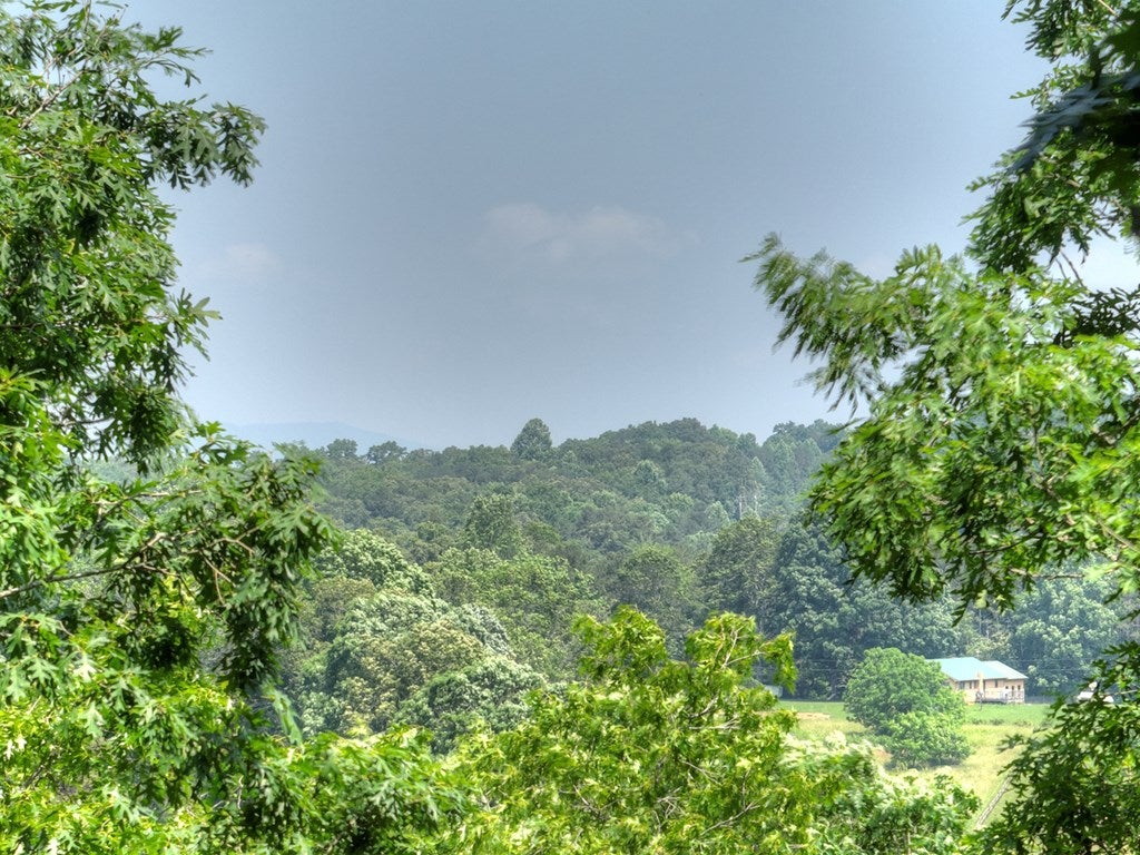 Morganton, Georgia, 30560, United States, 4 Bedrooms Bedrooms, ,4 BathroomsBathrooms,Residential,Active,1844261